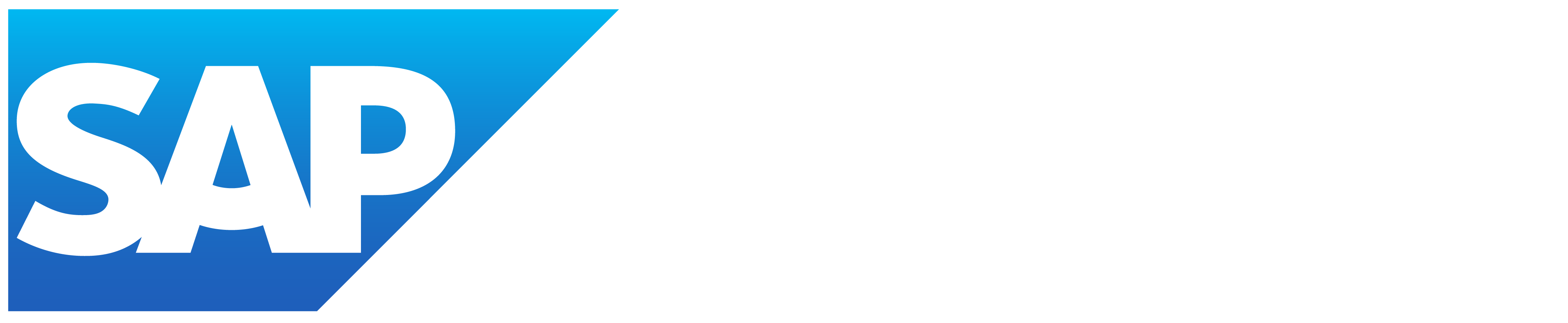 SAP NS2 Large logo